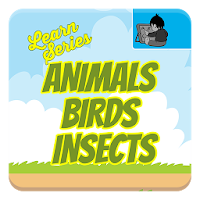 Learn Animals Birds Insects