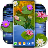 Water Lily Live Wallpaper 🌺 Flowers Wallpapers icon