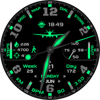 Aviators Watchface Wear OS