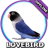 Suara Burung Lovebird Mp3 icon