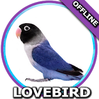 Suara Burung Lovebird Mp3