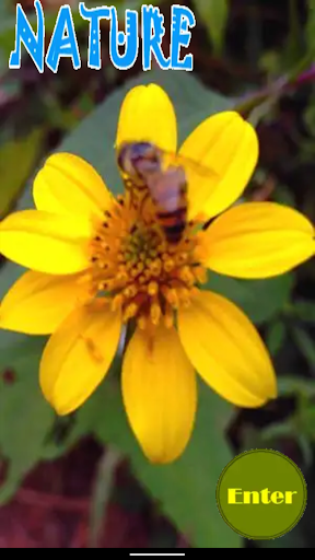 Android application Nature screenshort