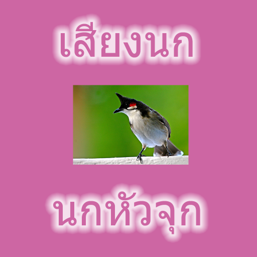 Thai Bird Head 3.0.0 Icon