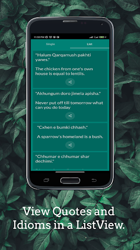 Burushaski Quotes Idioms Screen 2