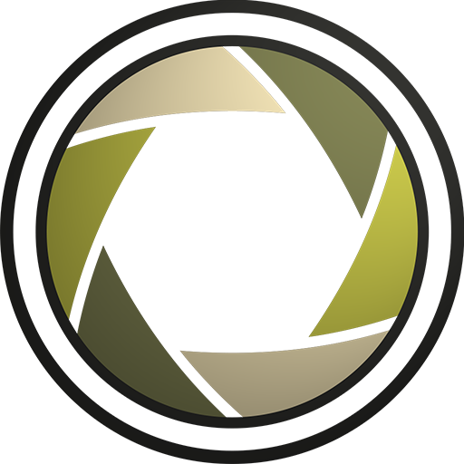 Pro-Optics logo
