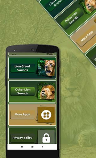 Lion Sounds Screen 2