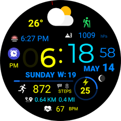 Digital Weather Sport NTV318