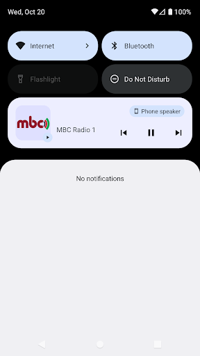 Malawi Radio Stations Screen 3