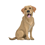 Cover Image of Tải xuống Brave Puppy: Sound Training  APK