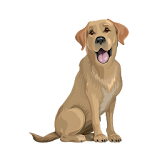 Brave Puppy : Dog Training Tool icon