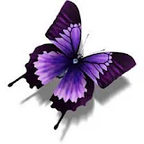 Butterfly HD Wallpaper icon