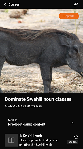 LSN: SWAHILI FOR HOAMIs Screen 3