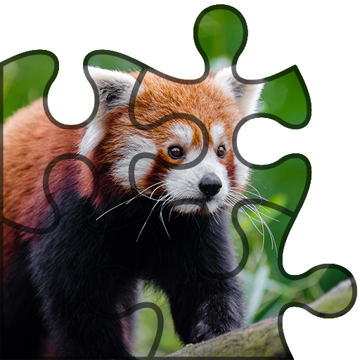 Animals Puzzle Game-IQ logo