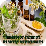 Cover Image of Descargar Remedios caseros  APK