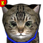 Hi Kitty lovely 🐱 Virtual Pet 0.1.0