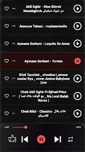 اغاني راي جزائري بدون نت 2024
