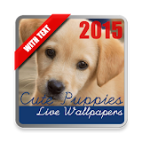 Puppies Live Wallpaper icon