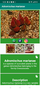 Encyclopedia of Cacti & Succulents 6.1 APK screenshots 8