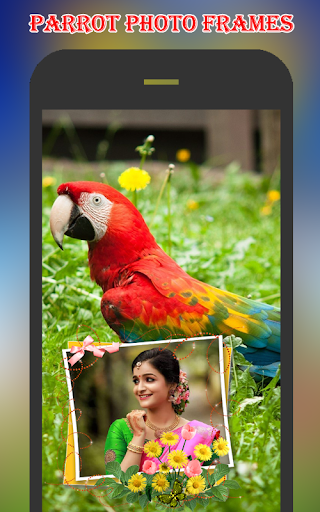 Parrot Photo Frames