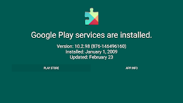 screenshot of Play Services Info (Update)