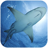 Ocean Overlord Shark Puzzle icon