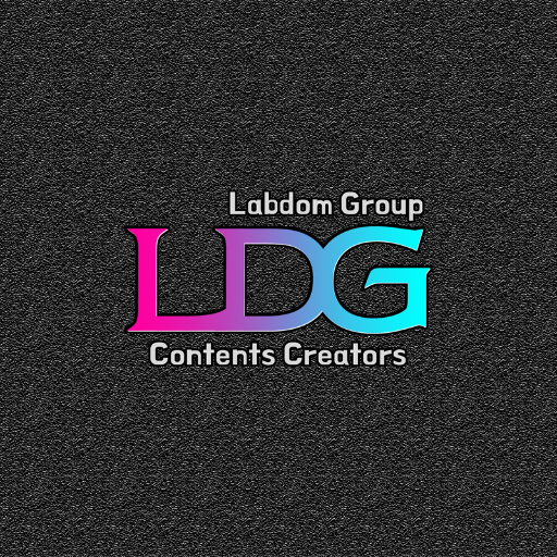 엘디지 logo