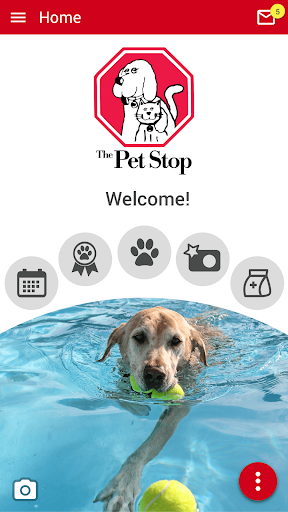 Android application The Pet Stop AK screenshort