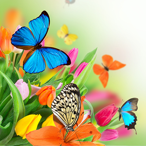 Butterfly Live Wallpaper  Icon