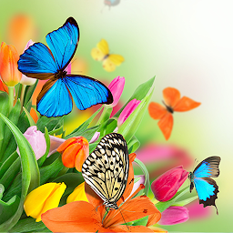 תמונת סמל Butterfly Live Wallpaper