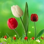Cover Image of ดาวน์โหลด Flowers HD Wallpapers  APK