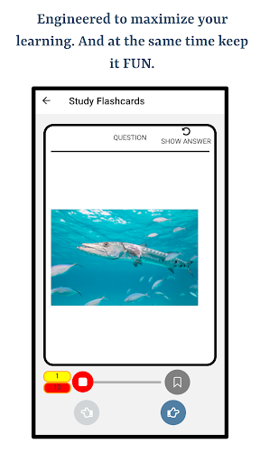 Types Of Fish screenshot 9