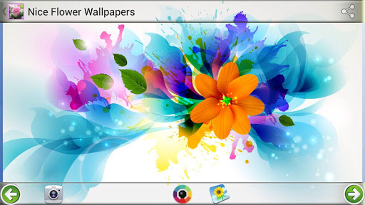 Nice Flower Wallpapers Screen 2