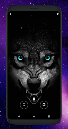 Cool Wolf Wallpapers HD Screen 2