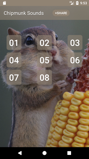 Android application Chipmunk Sounds screenshort