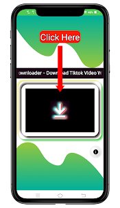 TikTok-ss 視頻下載器
