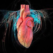 Top 19 Medical Apps Like cardiovascular system - Best Alternatives