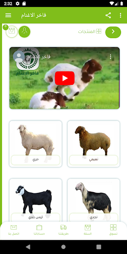 فاخر الاغنام