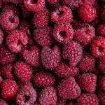 Cover Image of Tải xuống Raspberry Wallpapers 1.0.0 APK