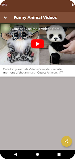 Funny Animal Videos Screen 3