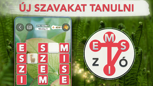 Képernyőkép
