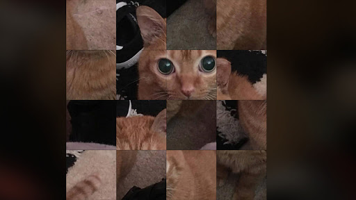 Catato The Puzzle Screen 2