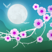 Blooming Night Pro Live WP