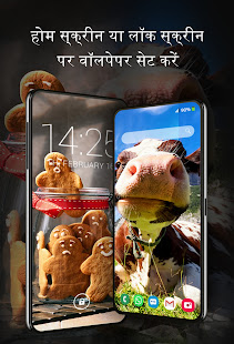 ऐप पूर्वावलोकन