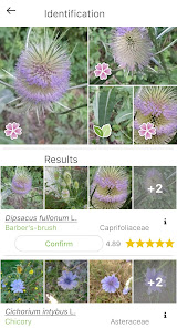 PlantNet Plant Identification  screenshots 2