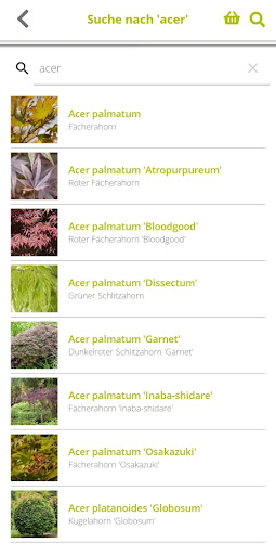 Hinrichs Pflanzen – B2B