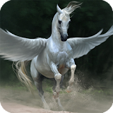 Pegasus Pack 2 Live Wallpaper icon