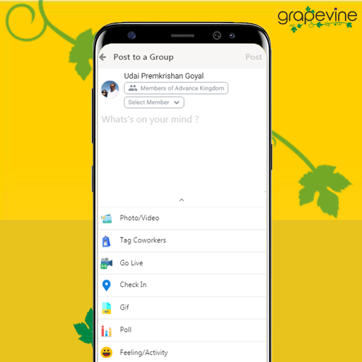 Grapevine Screen 3