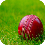 Cricket Wallpaper HD icon
