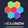 Hexa Puzzle King icon