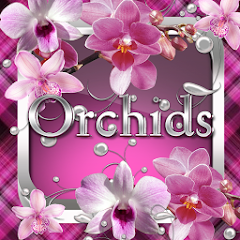 Orchids Go Launcher  theme Mod apk última versión descarga gratuita